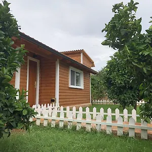  Casa de Férias The Mussel House